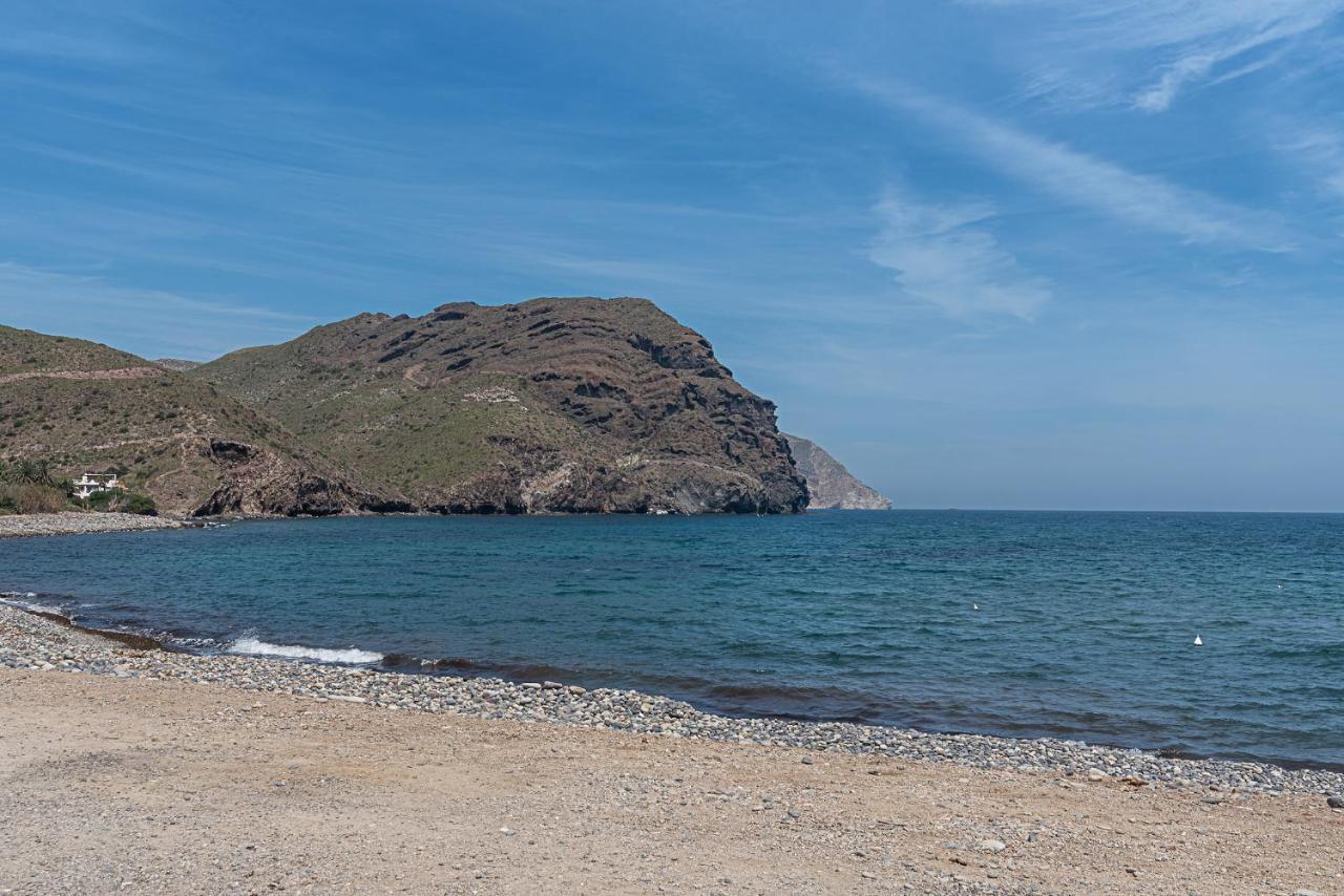Coral Del Cabo *