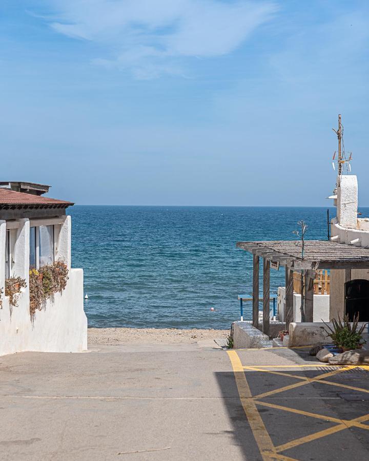 Coral Del Cabo